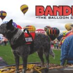 Bandit-Balloon-Trading-Cards.jpg